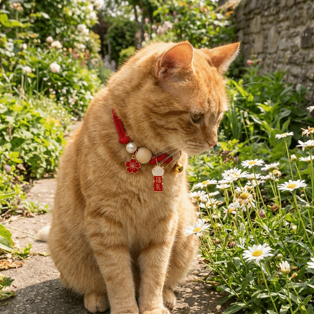 Fashion Adjustable Cat Flea Co - Ethnic Fashion Designer 리뷰 및 가격
